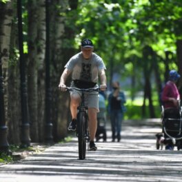 Потепление не будет долгим: в Москву снова придут похолодание и дожди