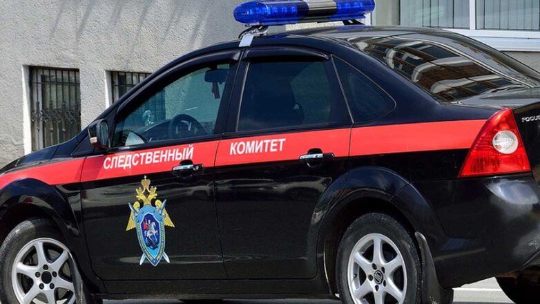 Ребенок 23-летней россиянки вышел ночью в сени и замерз насмерть