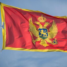 Парламент Черногории одобрил участие военных в миссии поддержки Украине EUMAM