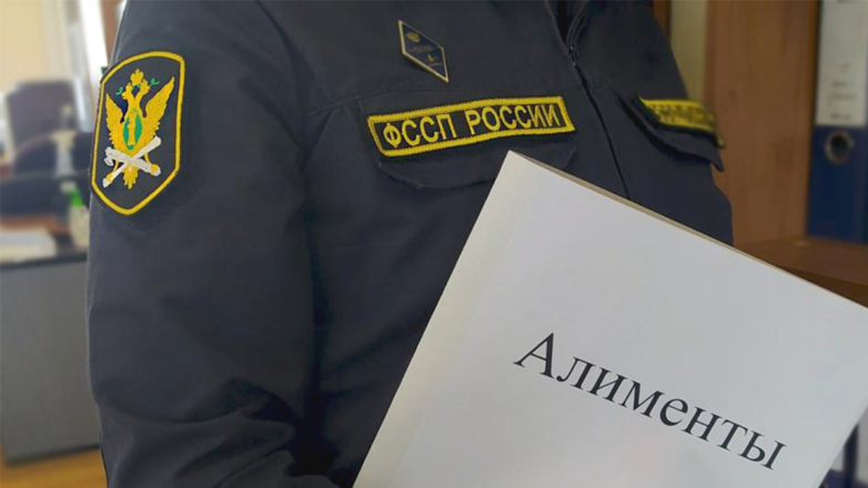 Реестр неплательщиков алиментов полноценно заработает в РФ