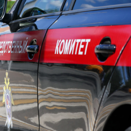 Задержан мужчина, напавший на ребенка в аэропорту Шереметьево